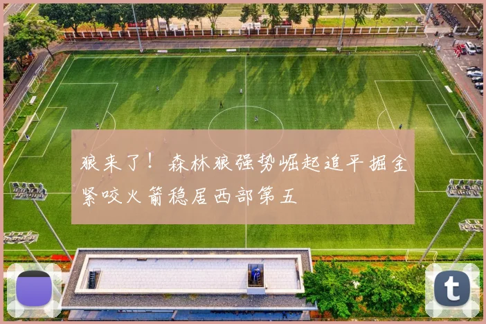 狼来了！森林狼强势崛起追平掘金紧咬火箭稳居西部第五