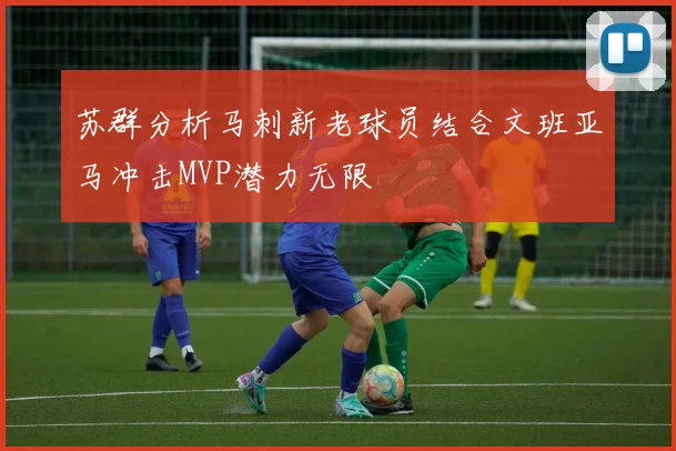 苏群分析马刺新老球员结合文班亚马冲击MVP潜力无限