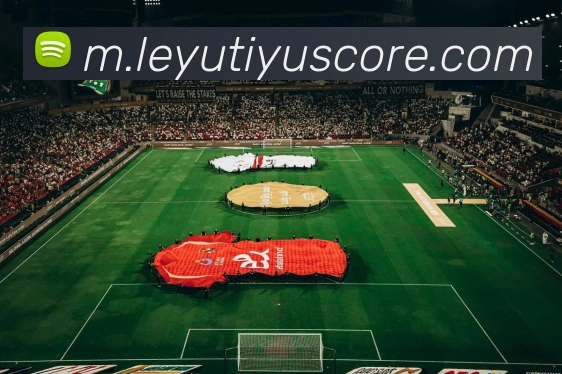 乐鱼体育发展历程